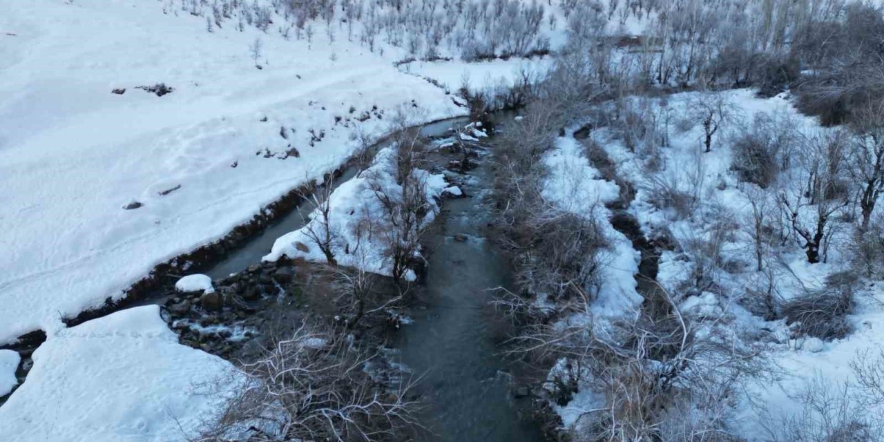 Şırnak’ta Dereler Buz Tuttu