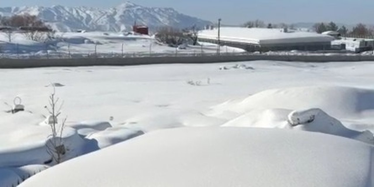 Köpek Seslerinden Uyuyamayan Mahalleli Çareyi Dilekçe Vermekte Buldu