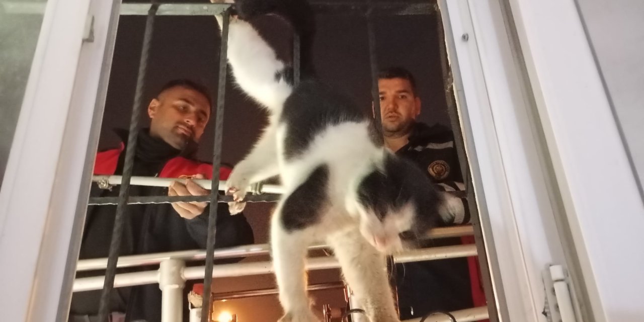 Cizre’de Damdan Düşen Kediyi İtfaiye Kurtardı