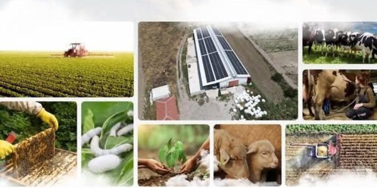 Tarımda Tarihi Destek! 214 Projeye 1,7 Milyar TL Hibe, Ekonomiye 2,9 Milyar TL Katkı