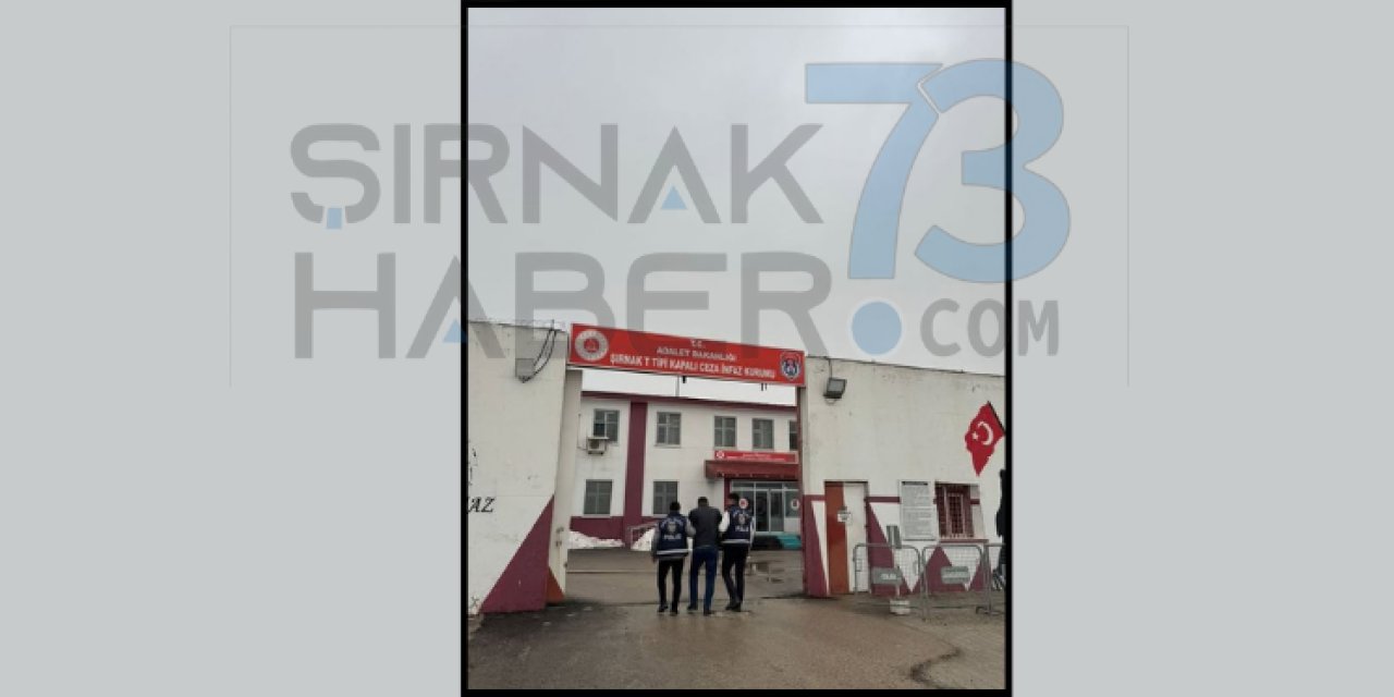 Şırnak'ta 13 Yıl 4 Ay Hapis Cezası Bulunan Firari Yakalandı