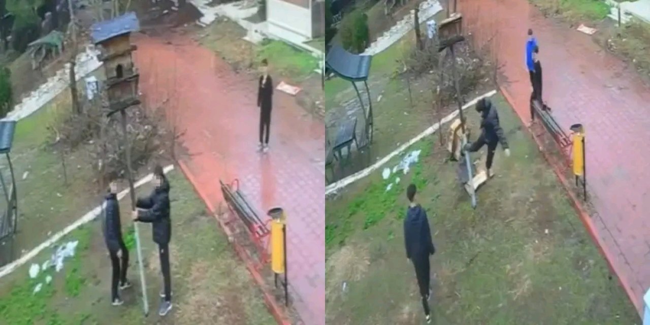 Kuş yuvasını parçalayan 4 çocuğa mahkeme ev hapsi cezası verdi