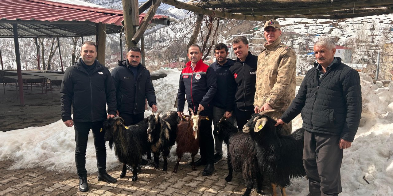 Şırnak’ta Kaya Düşmesi Sonrası Yaralar Sarılıyor: 20 Hayvan Telef Oldu, Destekler Hızla Ulaştırıldı