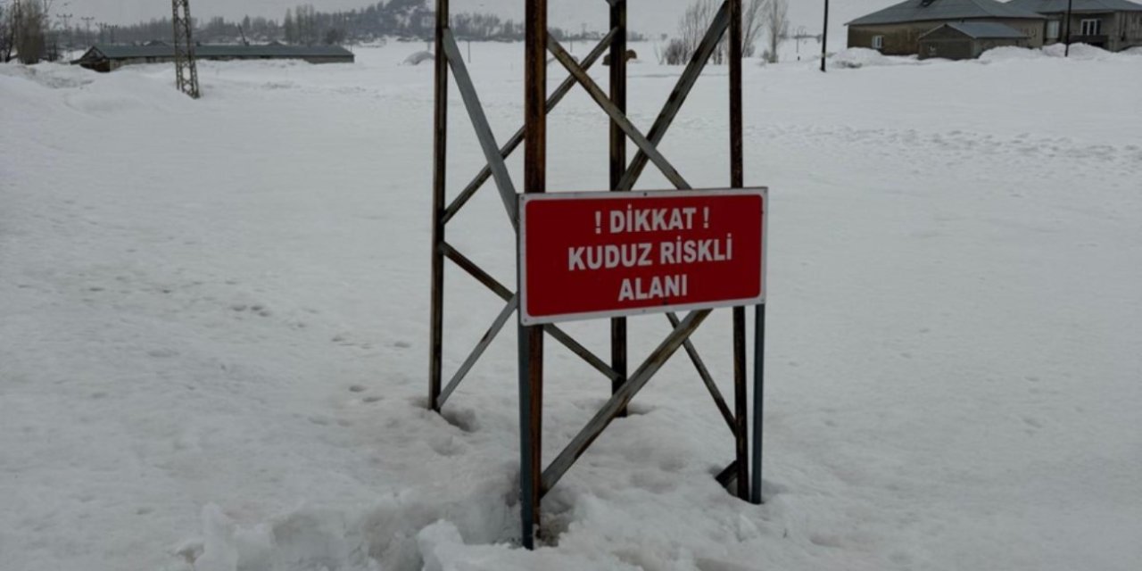 Hakkari'de kuduz alarmı! Karantinaya alındı