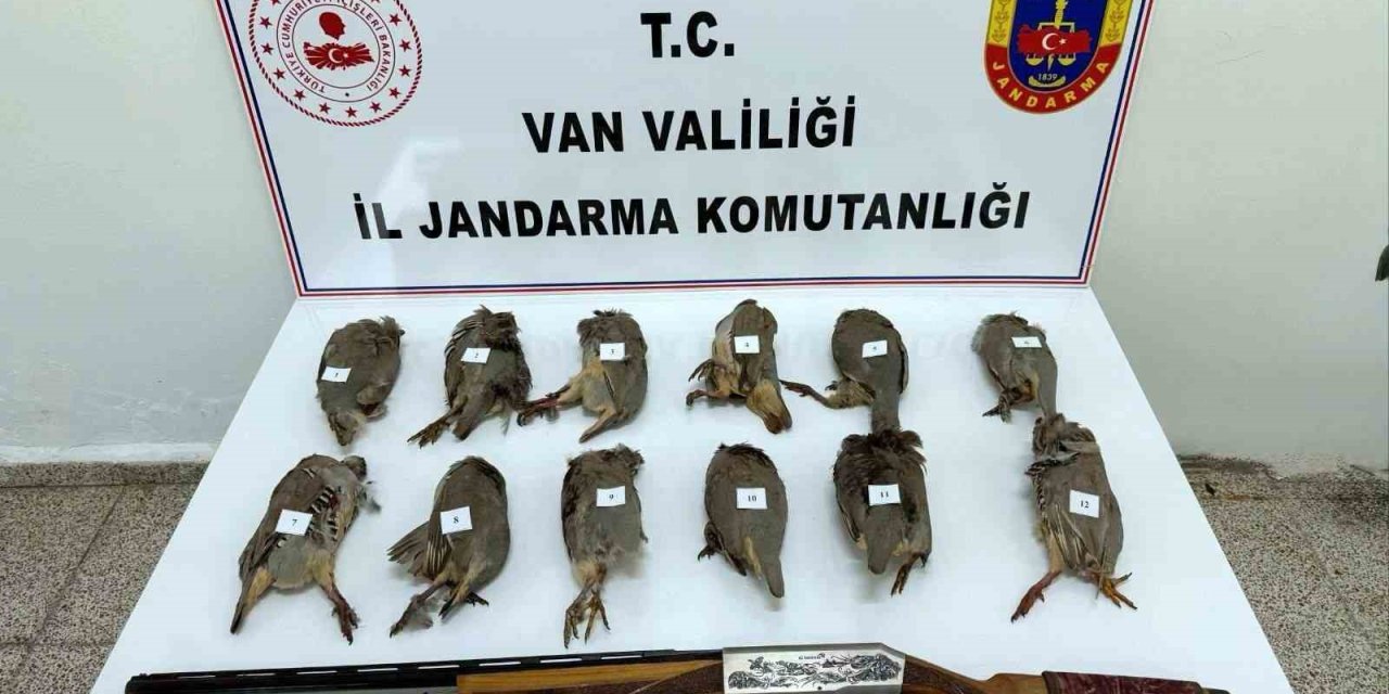 Van’da Çok Sayıda Keklik Avlayan Şahsa Para Cezası Kesildi