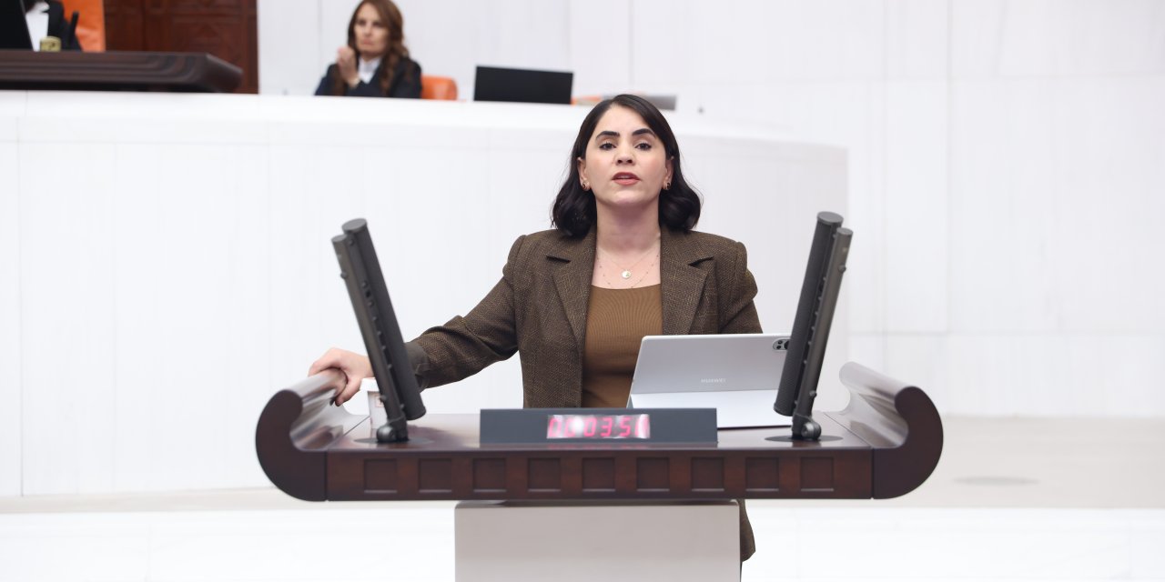 Milletvekili Uysal Aslan, Cezaevlerinde Kürtçe Kitap Ve İç Posta Uygulamalarını TBMM’ye Taşıdı