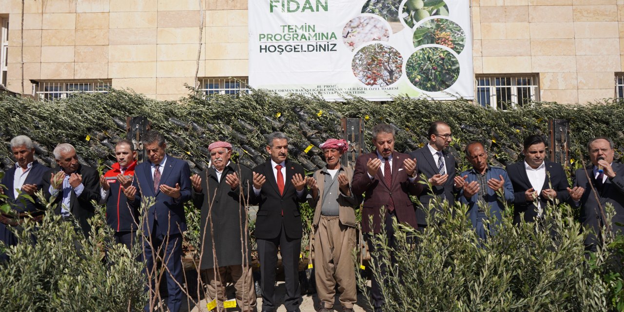 Şırnak’ta 110 Çiftçiye 25 Bin 200 Fidan Dağıtıldı