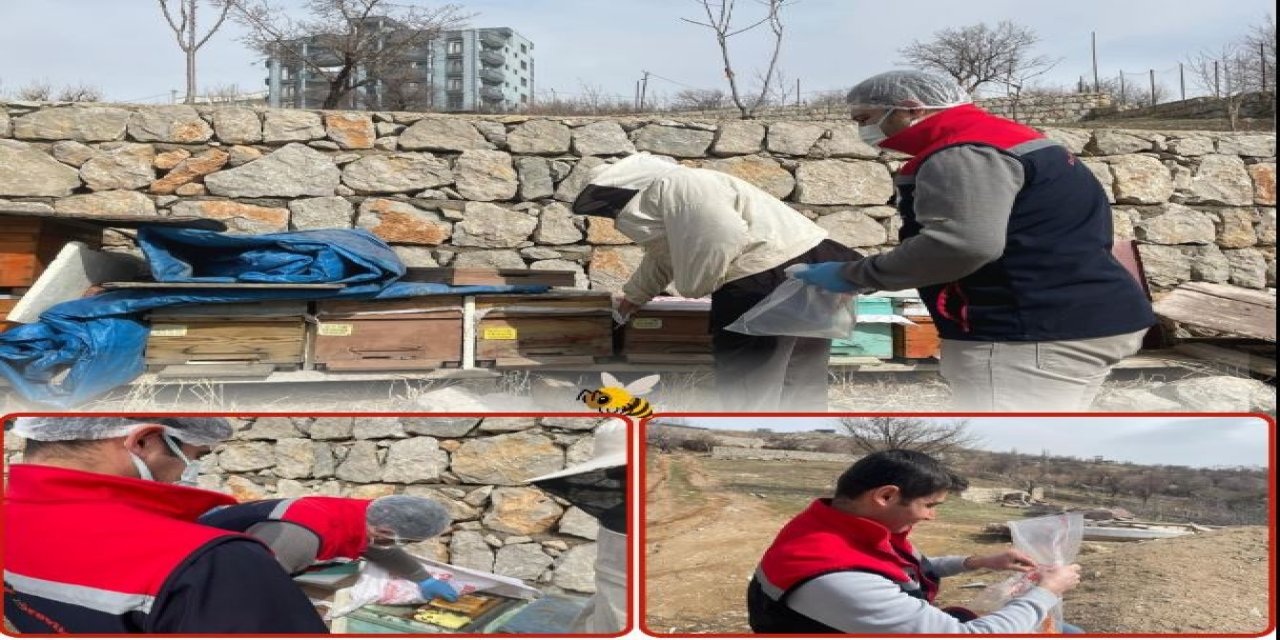 Şırnak’ta Hayvan Sağlığı İçin Yem Analiz Süreci Başladı