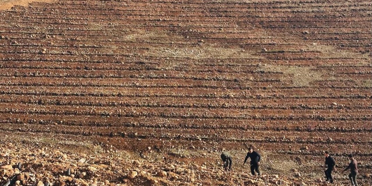 Şırnak’ın O Bölgesinde Yeşil Seferberlik! 12 Bin Fidan Toprakla Buluştu