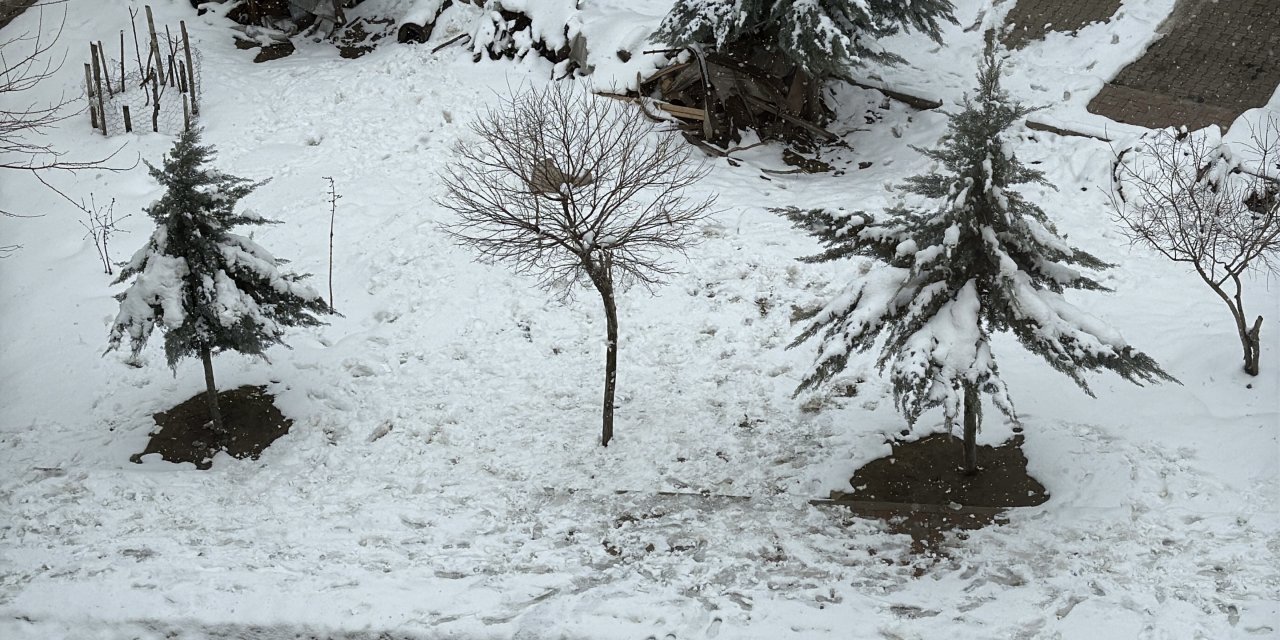 Şırnak, Kar Yağışıyla Yeniden Beyaza Büründü