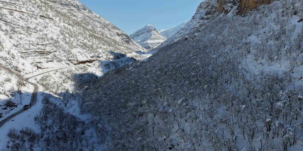 Şırnak’ta Ormanlık Alan Beyaza Büründü