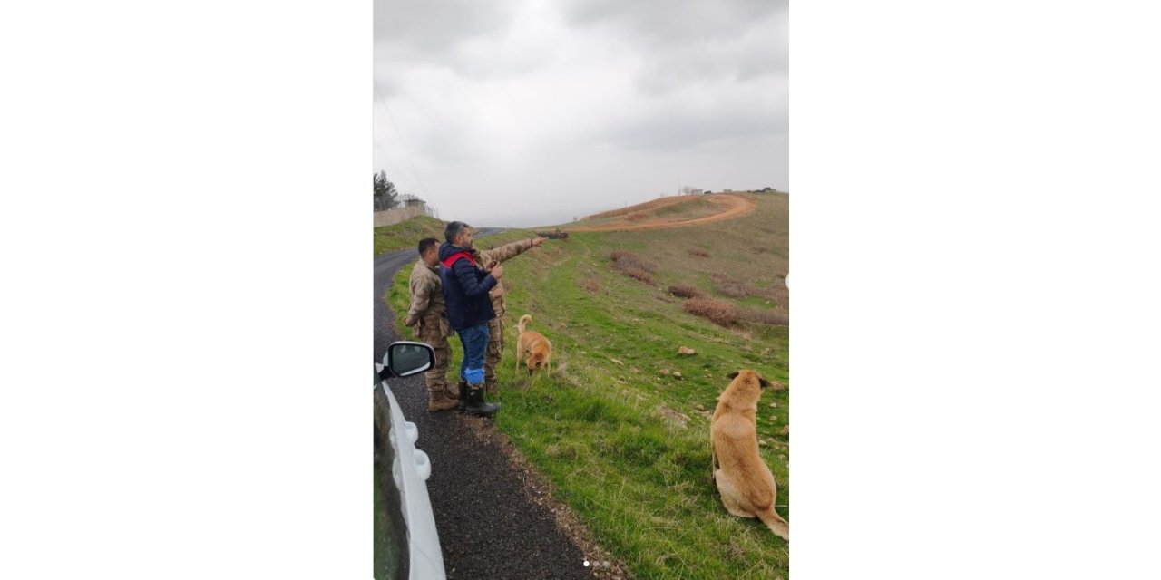 Cizre’de Mera Kanunu Kapsamında Denetim ve İnceleme Çalışması