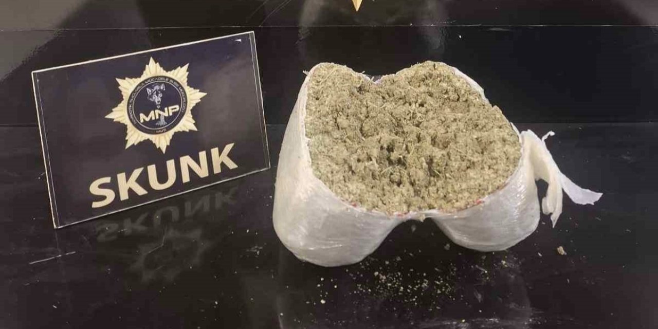 Yolcu otobüsünde kilolarca uyuşturucu ele geçirildi, 1 kişi tutuklandı