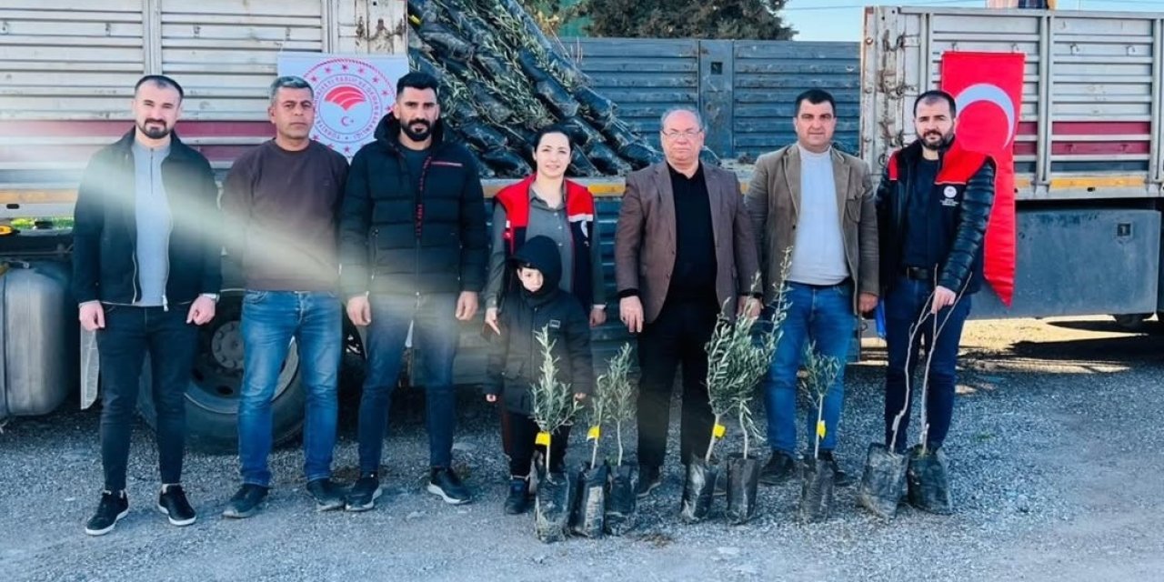 Şırnak’ta Meyvecilik Atağı: Silopi’de Fidanlar Toprakla Buluştu