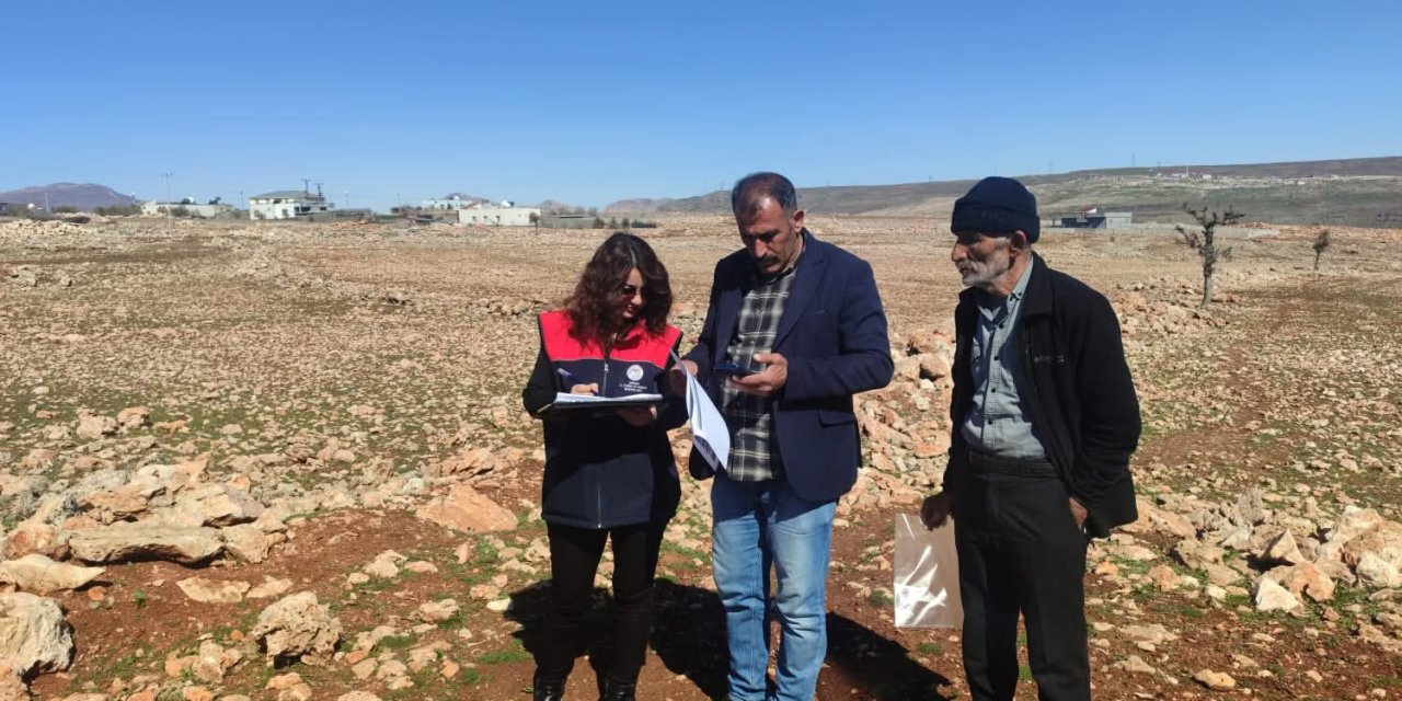 Damlabaşı Köyü’nde Mera Arazisinde İnceleme