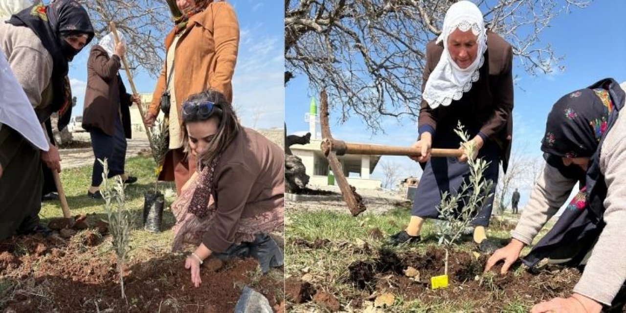 Şırnak’ta Bir İlk: Rizok Köyü’nde Kadın Bahçesi Kuruldu