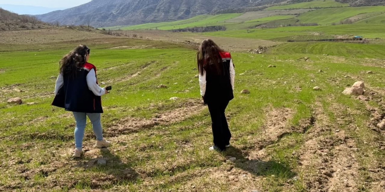 Uludere’de Tarım Arazileri Mercek Altında! 2026 Desteklemeleri İçin Sahada Yoğun Mesai