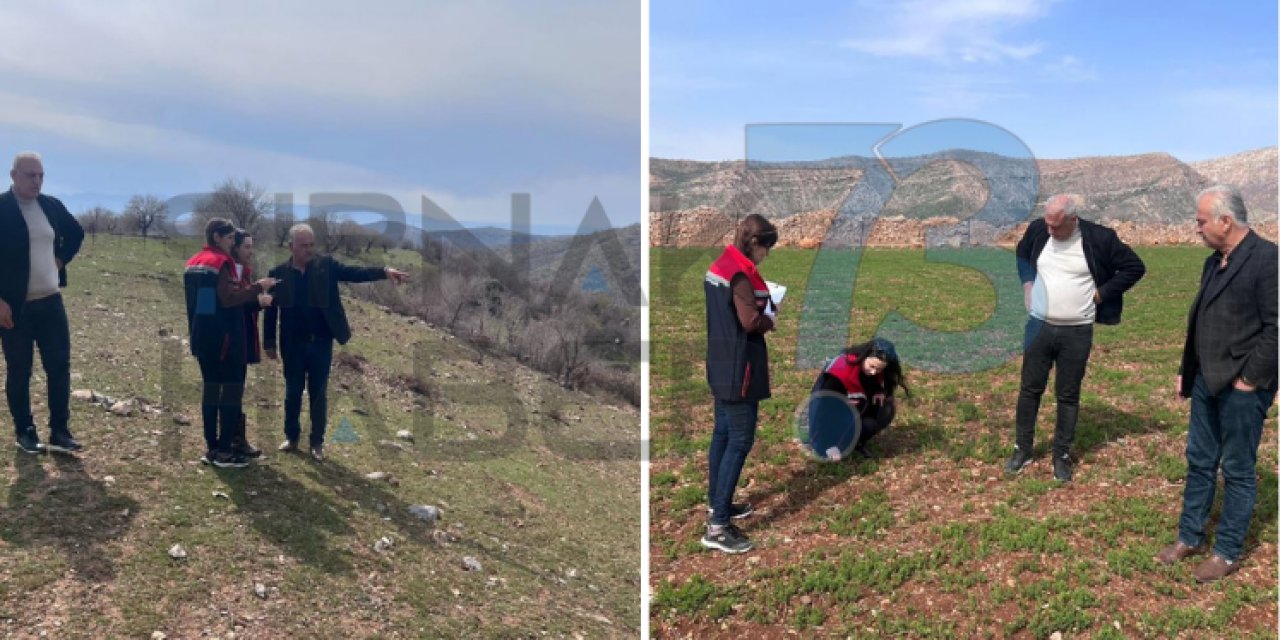 Silopi'de 2026 Üretim Yılı İçin Arazi Kontrolleri Sürüyor
