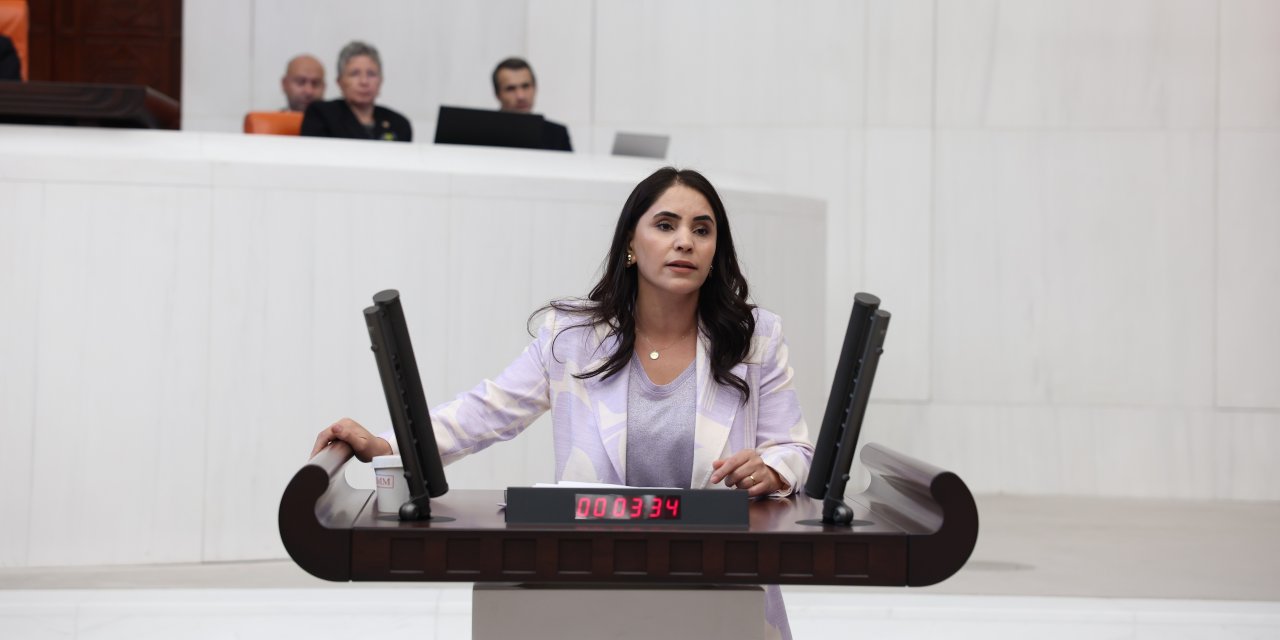 Feqiyê Teyran Medresesi Yok Olma Tehlikesiyle Karşı Karşıya! Konu Meclis Gündeminde