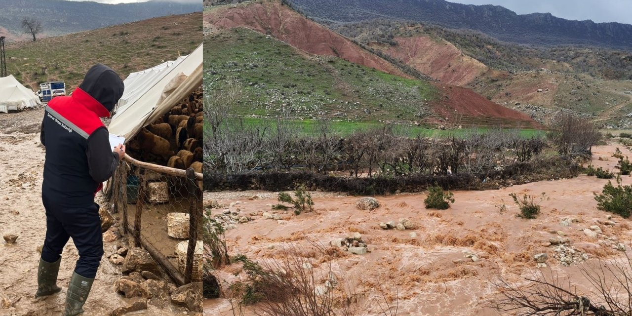 Kasrik’te Selin Yaraları Sarılıyor: Hasar Tespit Çalışmaları Sürüyor