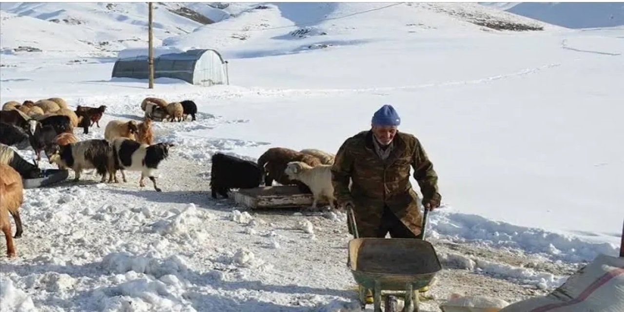 Feraşin Yaylası'nda kar engeli: Besici saman bekliyor