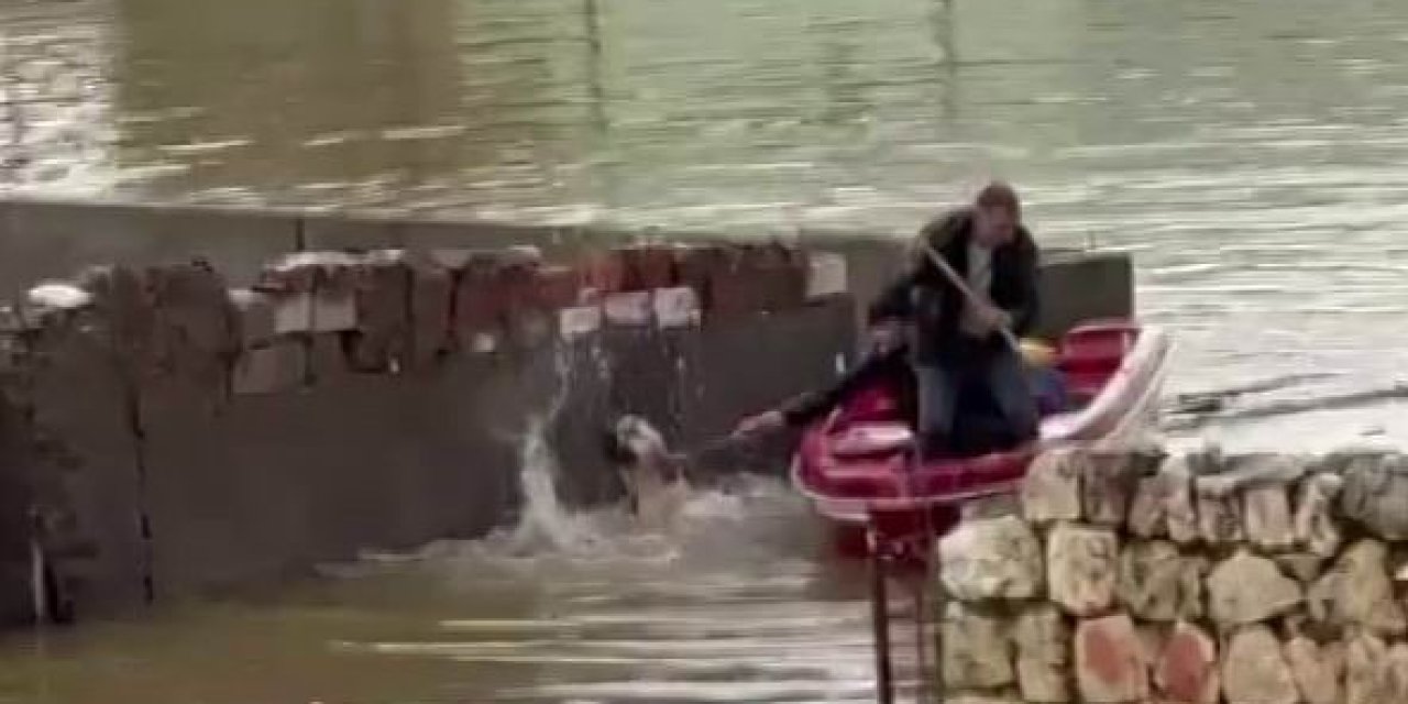 Su Taşkınında Evde Mahsur Kalan Köpek, Vatandaşların Bindiği Botla Kurtarıldı