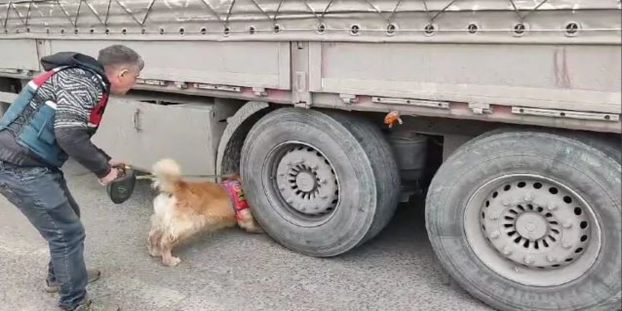Şırnak'ta Son Zamanların En Büyük Operasyonu: 1 Kişi Tutuklandı