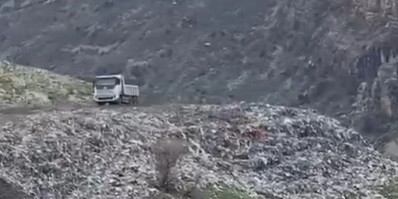 SES Şırnak Şubesi’nden Silopi İçin Acil Çağrı: \"Temiz Su Hakkı Tehdit Altında, Halk Sağlığı Riskte!\"