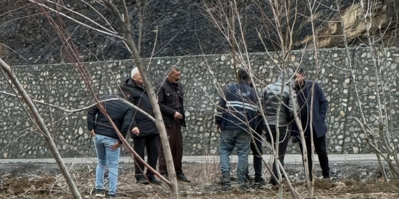 Beytüşşebap’ta Yeşil Dönüşüm Başladı! İlçe Girişindeki Dev Park Baştan Sona Yenileniyor