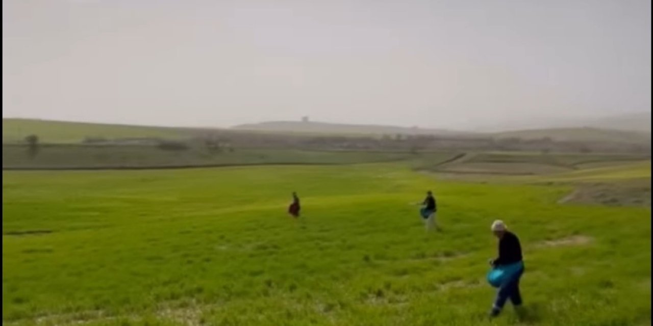 Siirt’te Çiftçilerden Zorlu Mesai: Gübreleme Eski Usulle Yapıldı