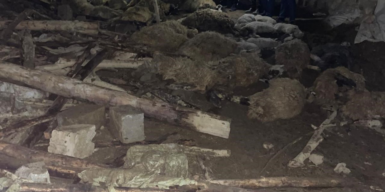 Van'da ahır çöktü: 56 küçükbaş hayvan telef oldu