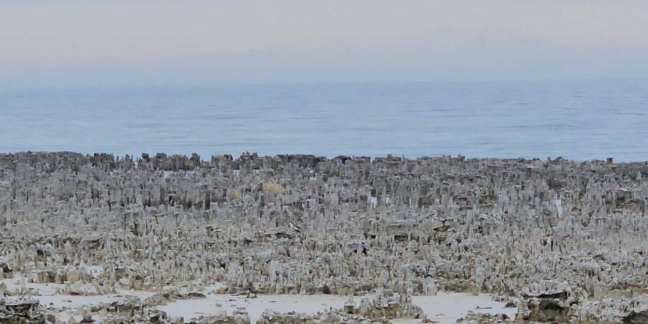 Van Gölü’nde kuraklık alarmı: Gün yüzüne çıktı