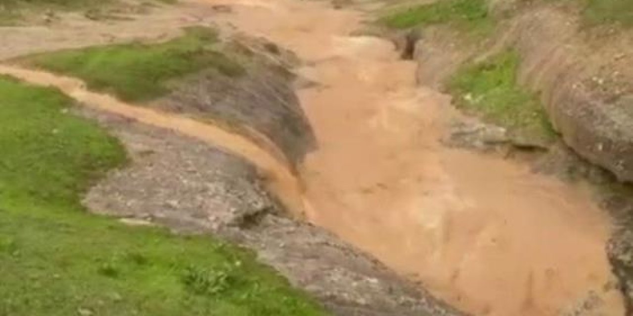 Siirt'te dolu yağışı etkili oldu, bahçeler zarar gördü