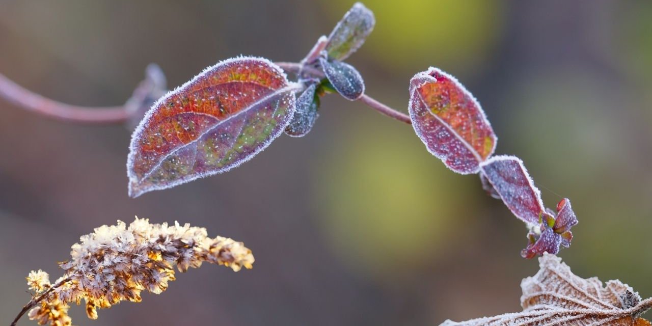Şırnaklılar Dikkat! Bakanlıktan Önemli Uyarı