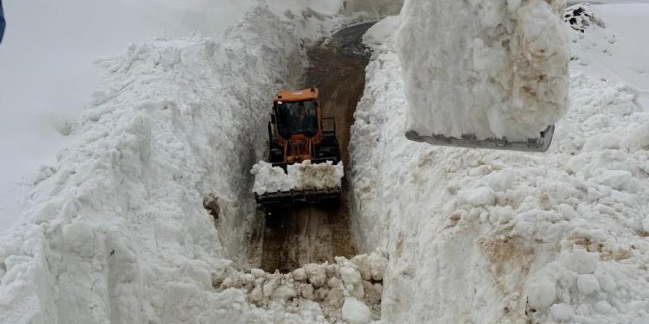 Şırnak'ta çığ düşen yolu açmak için ekipler seferber oluyor