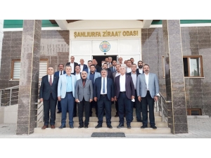 CHP Milletvekilleri Şanlıurfa'da STK  temsilcileriyle bir araya geldi