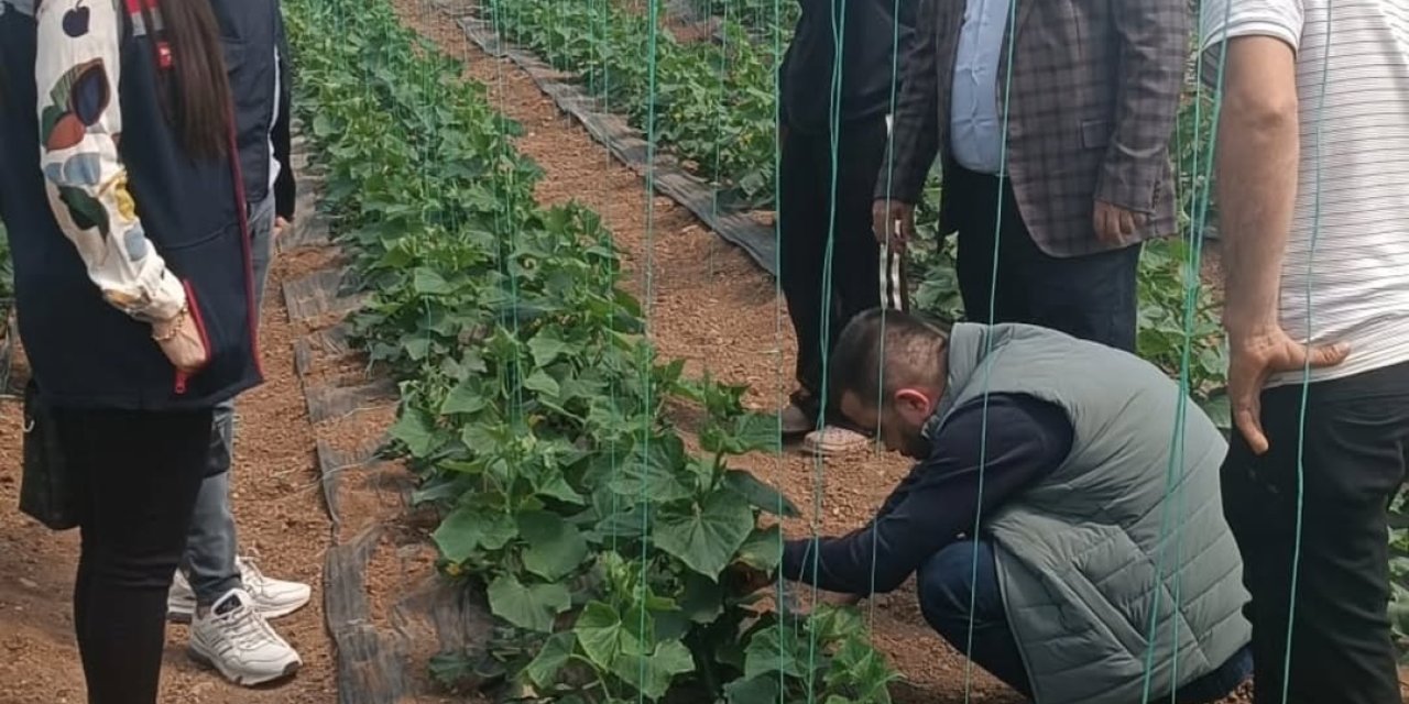 Silopi’de Sera Üretimine Yerinde İnceleme: Üreticiye Destek Ziyareti