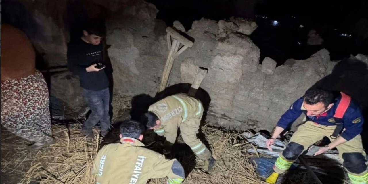 Cizre’de Ahır Çöktü: Hayvanlar Göçük Altında Kaldı