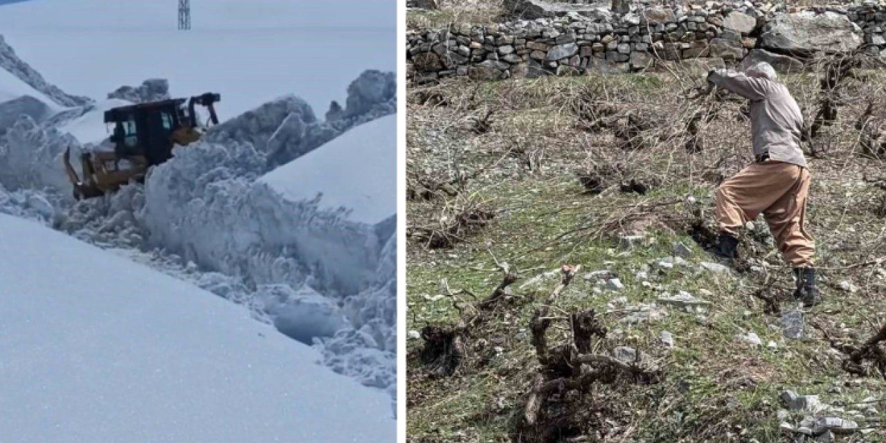 Şırnak'ta Bir Yandan Karla Mücadele Çalışması, Bir Yandan da Ağaç Budama Yapılıyor