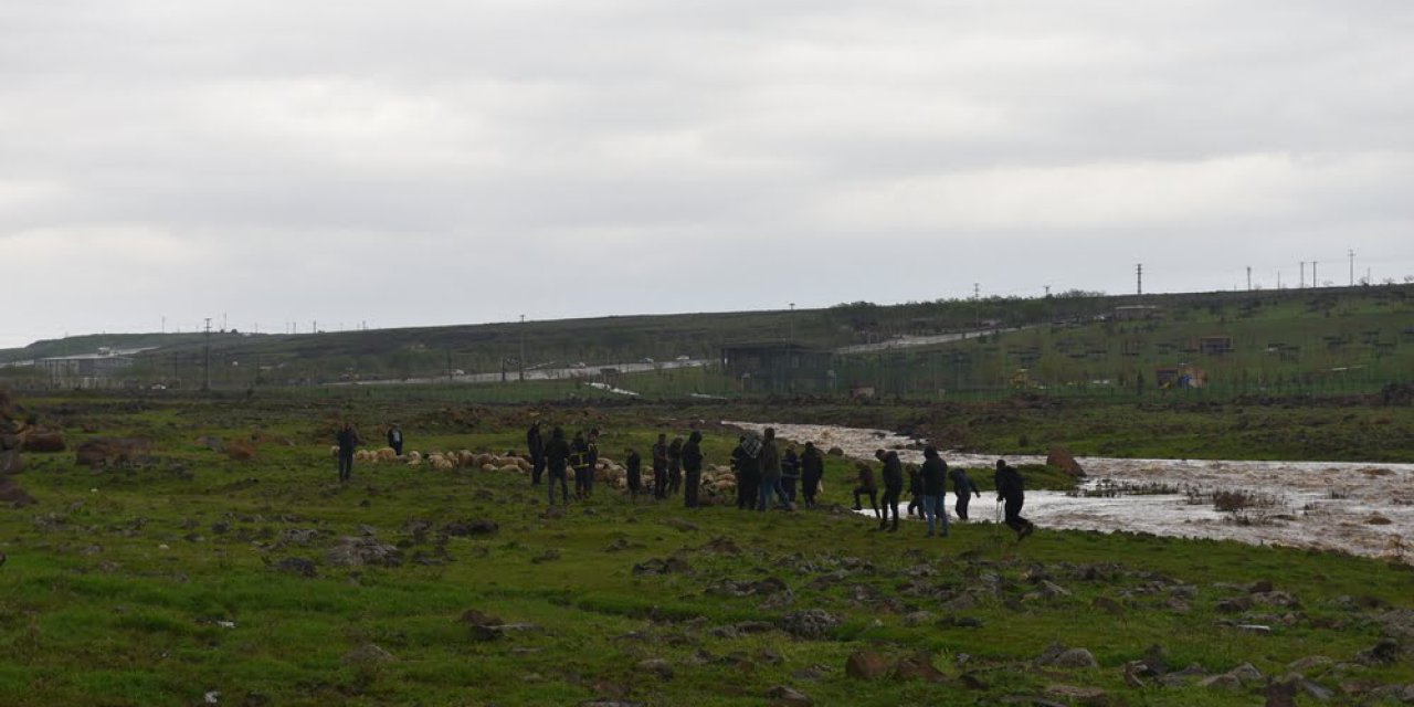 Debisi yükselen derede çoban ve 60 küçükbaş hayvan mahsur kaldı