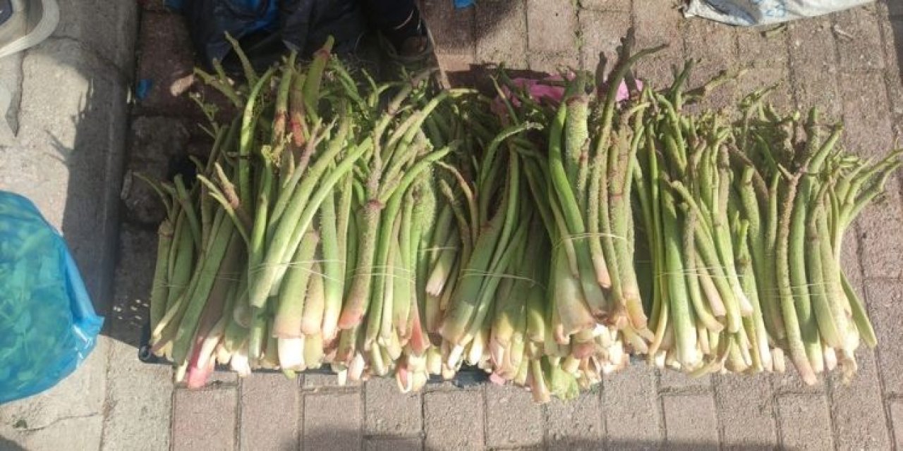 Şırnak’ta Uçkun Mevsimi Başladı: Kilosu Ne Kadar?