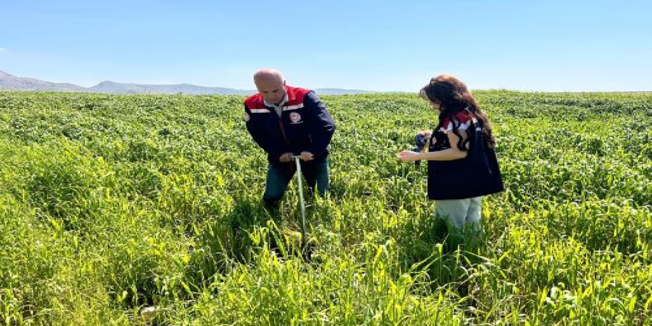 Silopi’de Küçükbaş Hayvan Çiftliği Projesi İçin Arazi Etüt Çalışması Yapıldı