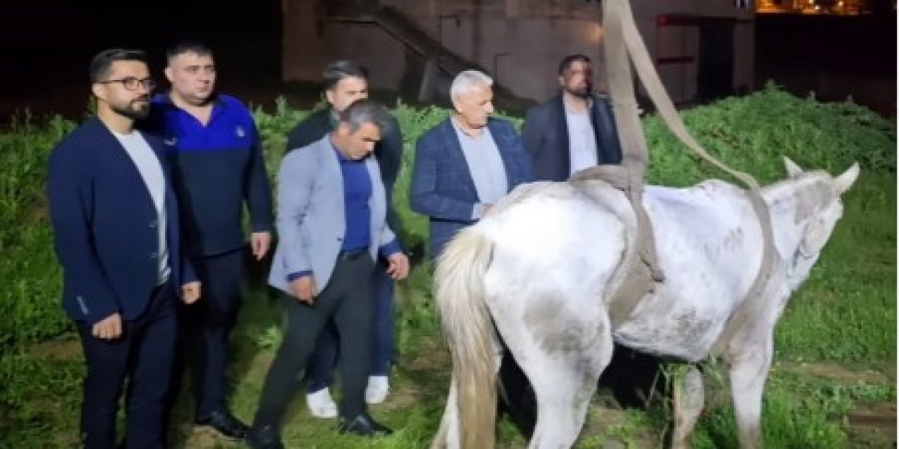 Cizre’de Yaralı Ata Hızlı Müdahale: Belediye Ekipleri Seferber Oldu