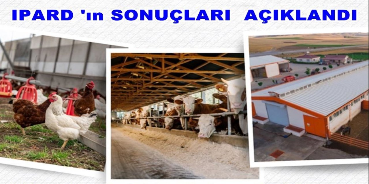 Şırnak’ta Hayvancılığa Dev Destek! IPARD III Kapsamında 2 Büyük Proje Onaylandı