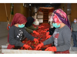 Türkiye'nin pul biber ihracatı 9 ayda yüzde 28 arttı