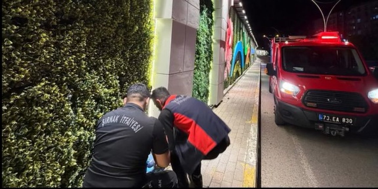 Şırnak’ta Kolona Sıkışan Kedi Kurtarıldı