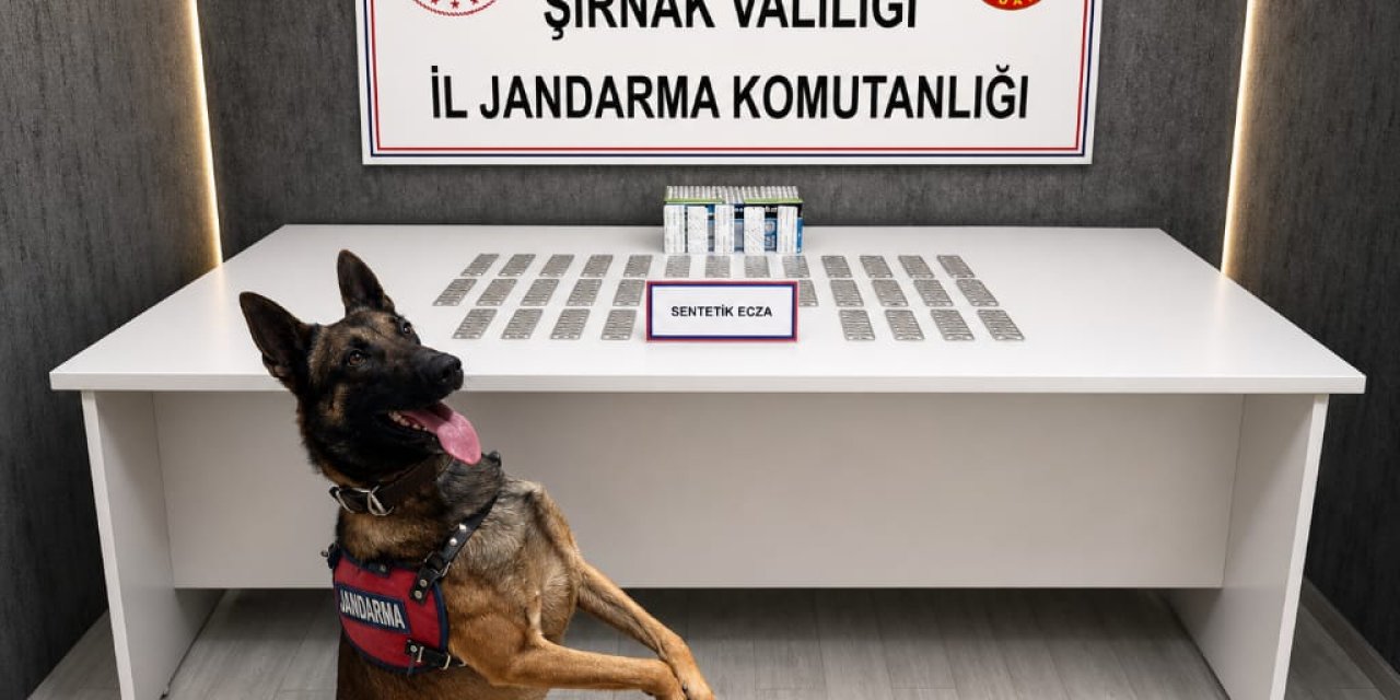 Şırnak’ta 1 haftada kaçakçılık ve narkotik operasyonlarında 145 gözaltı