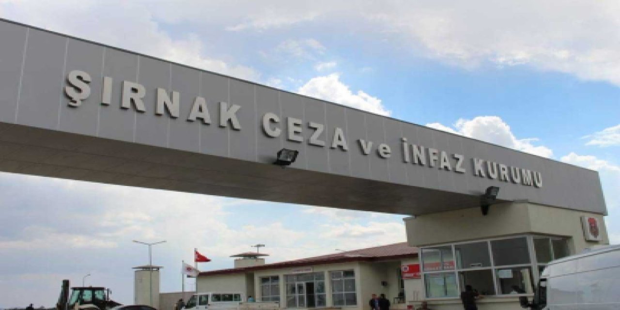 Şırnak'ta kargo aracıyla kaçakçılık yapan 2 kişi  tutuklandı