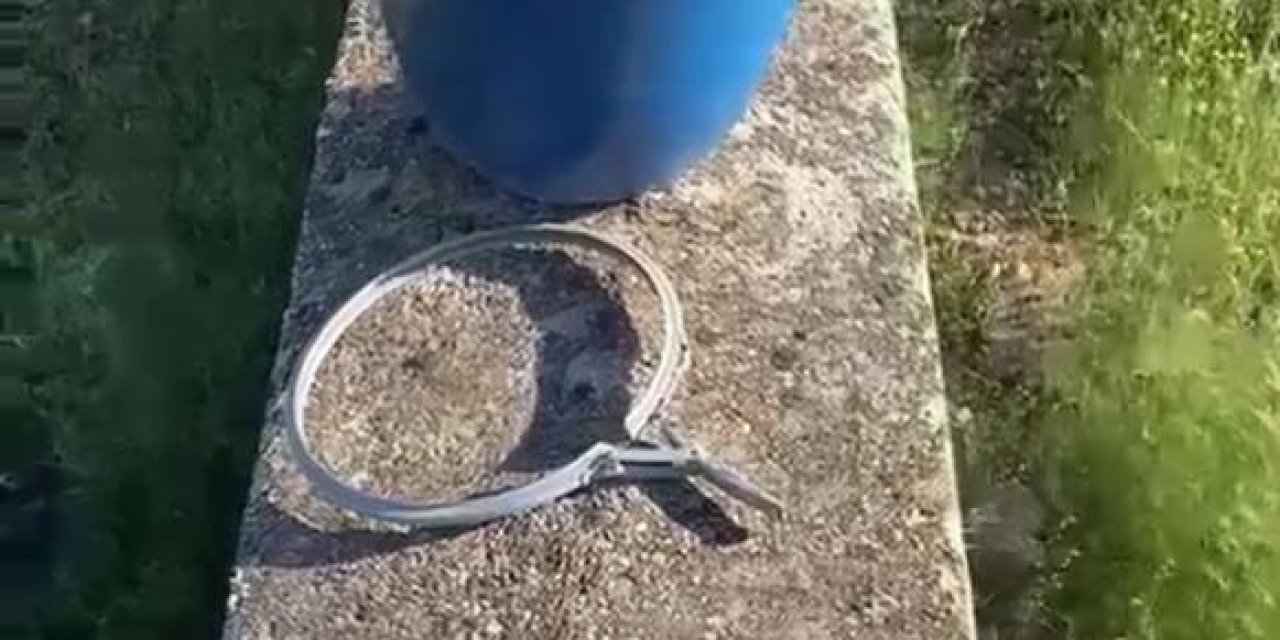 Mezarlıkta dehşete düşüren görüntüler! Onlarca bidon içerisinden çıktı