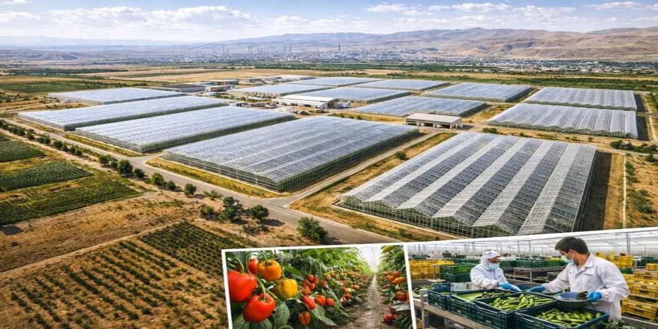 Silopi’de Dev Tarım Hamlesi: Sera Organize Tarım Bölgesi Projesi Tanıtılıyor